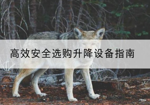 淮上升降货梯厂家推荐-*安全选购升降设备指南