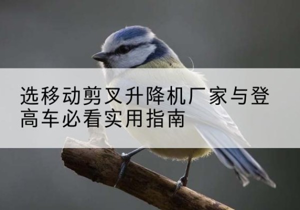 淮上电动升降机厂家-选移动剪叉升降机厂家与登高车必看实用指南