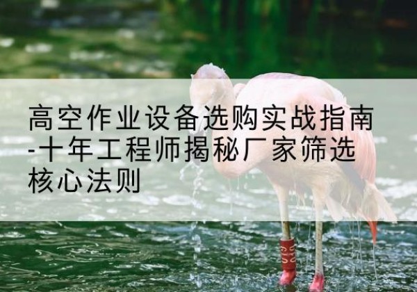 淮上剪叉式升降机厂家-高空作业设备选购实战指南-十年工程师揭秘厂家筛选核心法则
